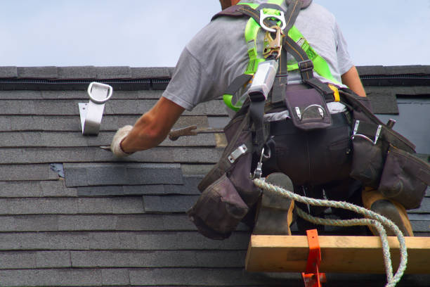 Best Roof Insulation Installation  in Harlan, IA