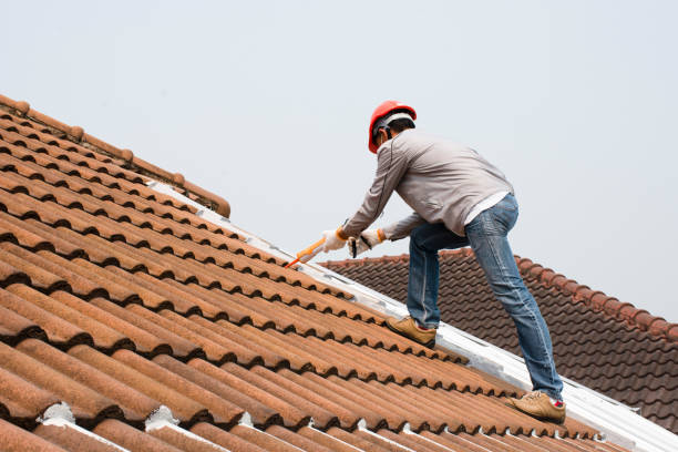 Best Asphalt Shingle Roofing  in Harlan, IA